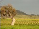 2441 Barton Hwy, Murrumbateman NSW 2582