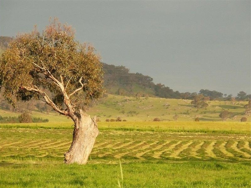 2441 Barton Hwy, Murrumbateman NSW 2582