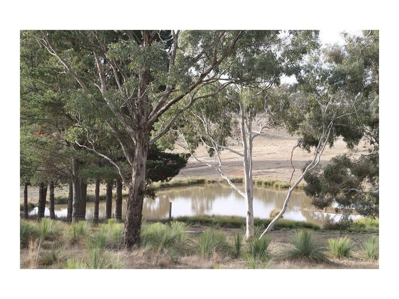 153 Collector Road, Gunning NSW 2581