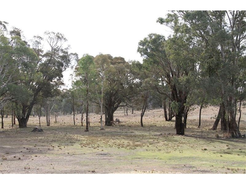 153 Collector Road, Gunning NSW 2581