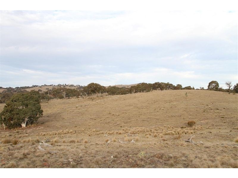 153 Collector Road, Gunning NSW 2581