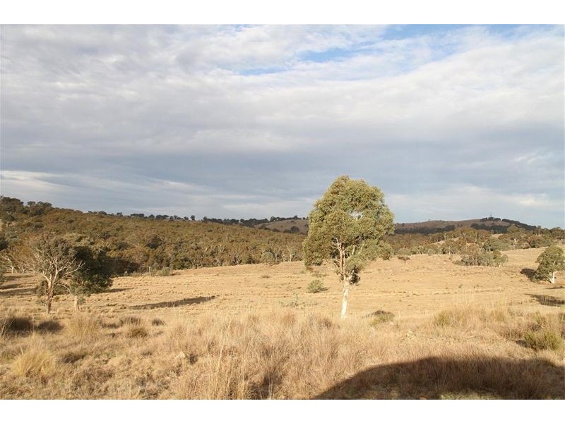 153 Collector Road, Gunning NSW 2581