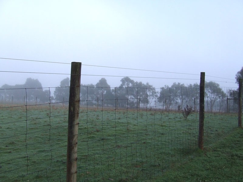 3329 Princes Highway, Drumborg VIC 3304