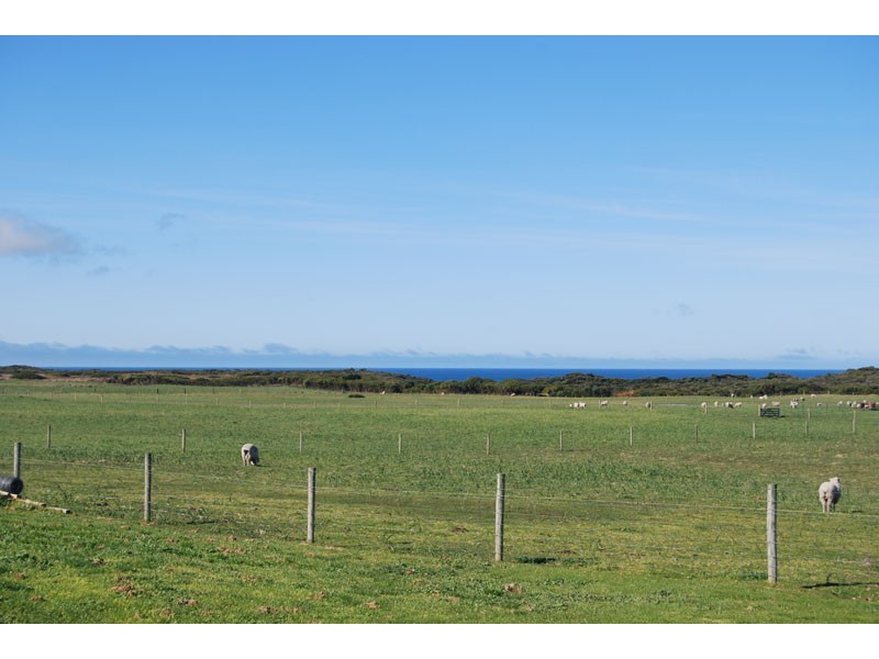 111 Sheoke Road, Portland VIC 3305