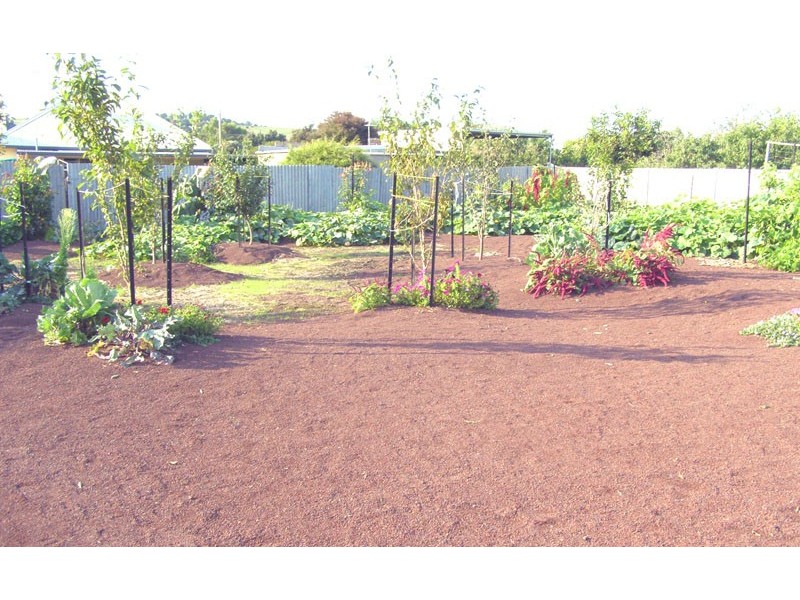 68 McConochie Street, Coleraine VIC 3315