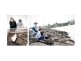 75 Findlay Street, Portland VIC 3305