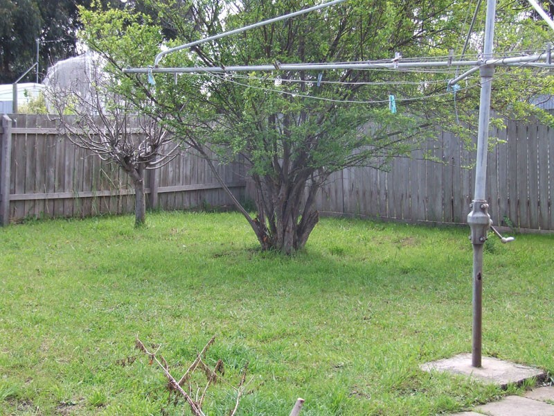 85 Browning Street, Portland VIC 3305