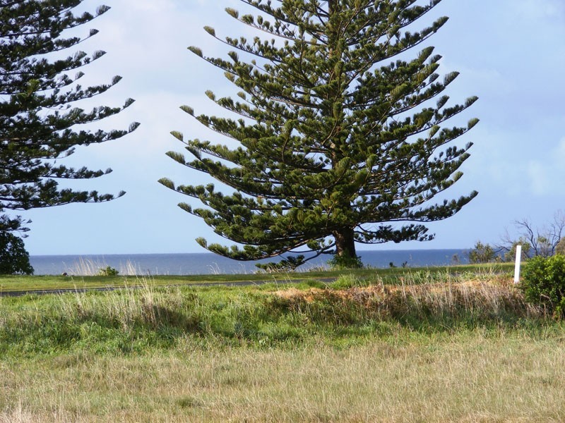 351 Hanlon Parade, Portland VIC 3305