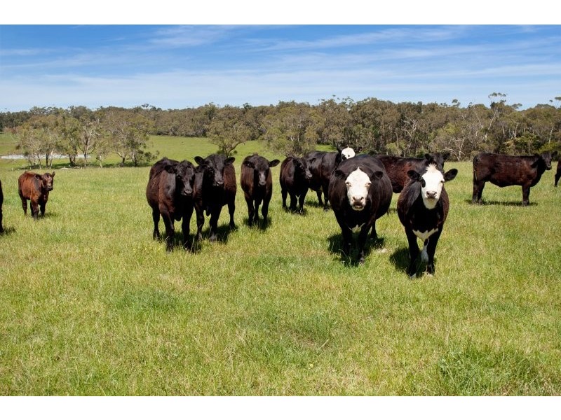 3896 Henty Highway, Heywood VIC 3304