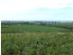 Lot 1 Boyers Road, Portland VIC 3305