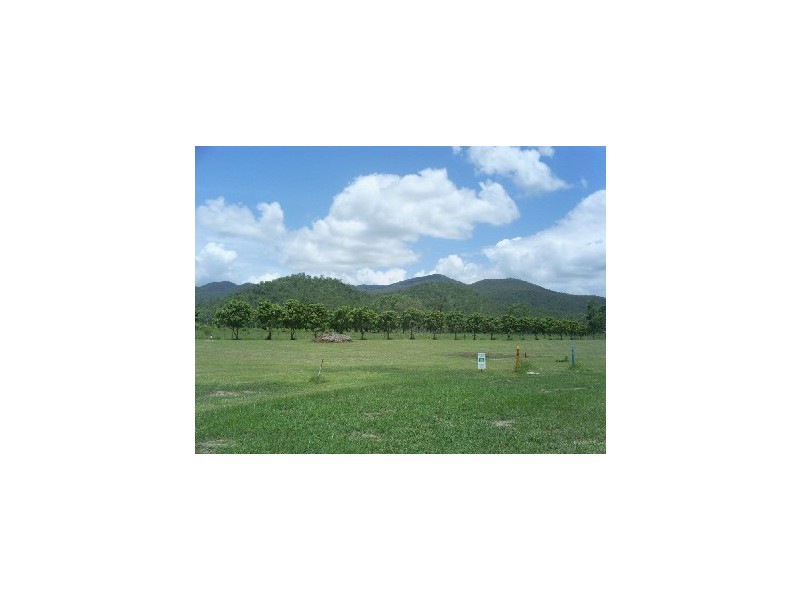 Lot 10 Renwick Court, Alligator Creek QLD 4816