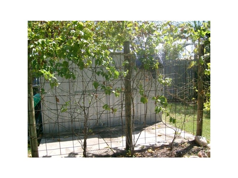 5 Franco Court, Rasmussen QLD 4815