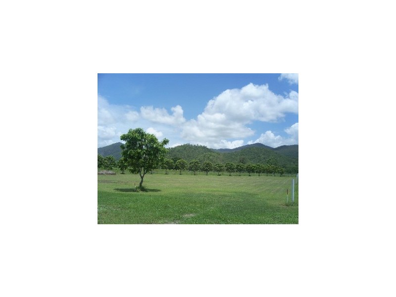 Alligator Creek QLD 4816