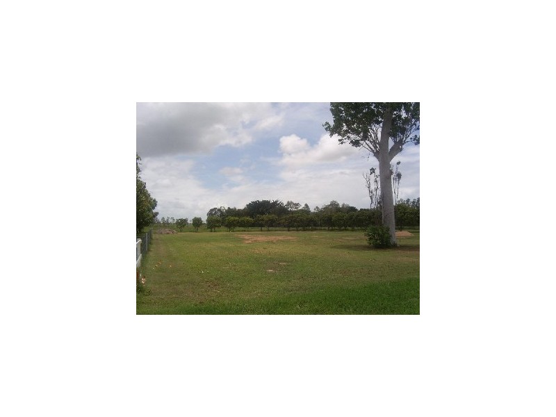 Alligator Creek QLD 4816