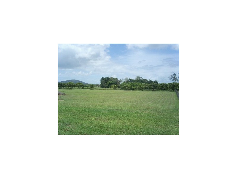 Alligator Creek QLD 4816