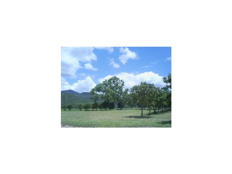 Alligator Creek QLD 4816