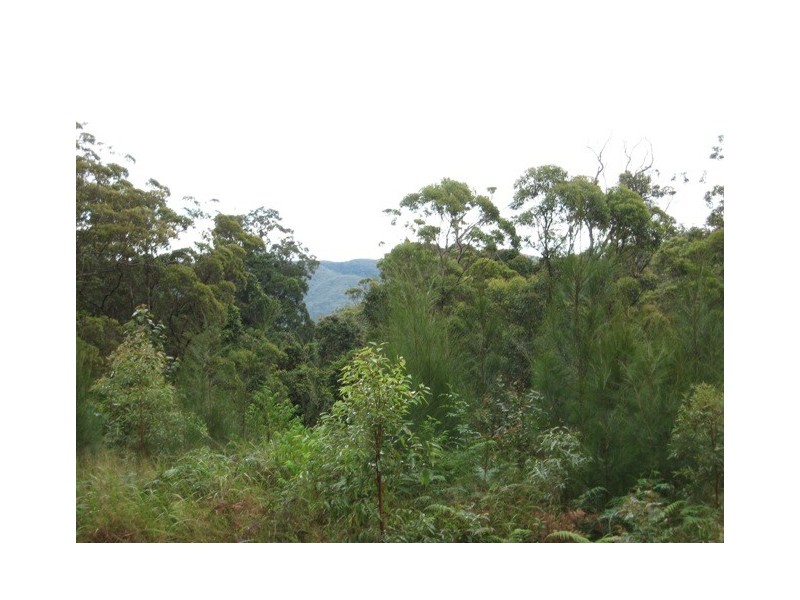 688  Schumanns Road, Eungella QLD 4757