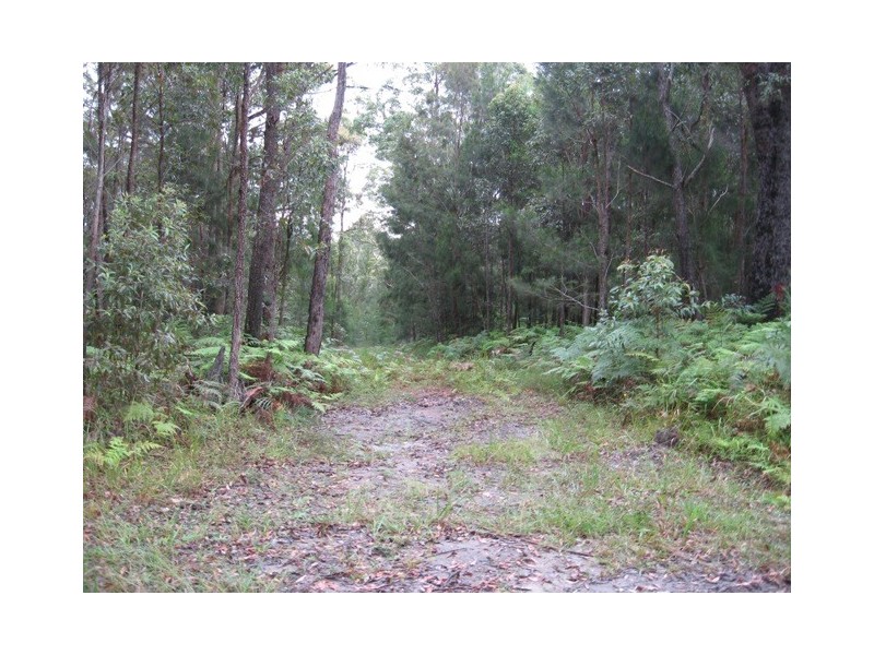 688  Schumanns Road, Eungella QLD 4757