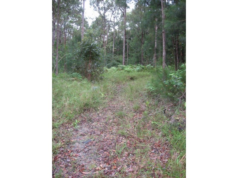 688  Schumanns Road, Eungella QLD 4757