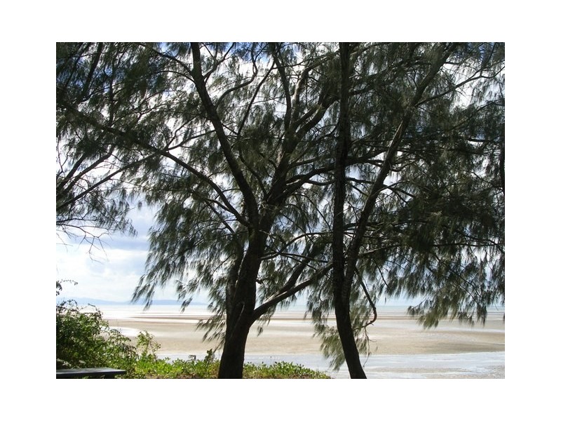 Bushland Beach QLD 4818