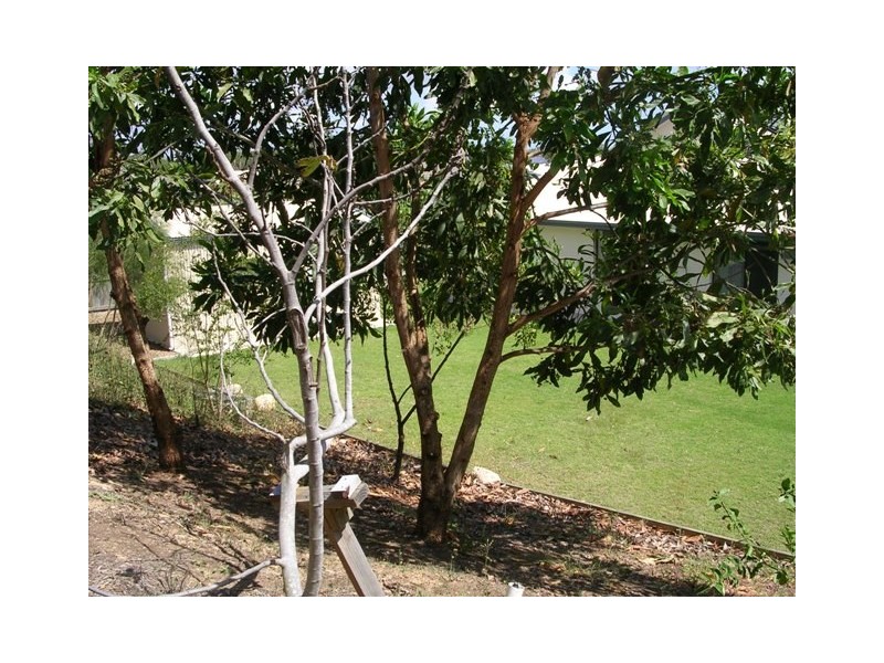 58  Sea Eagle Circuit, Douglas QLD 4814