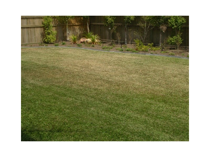 1  Sovereign Terrace, Idalia QLD 4811