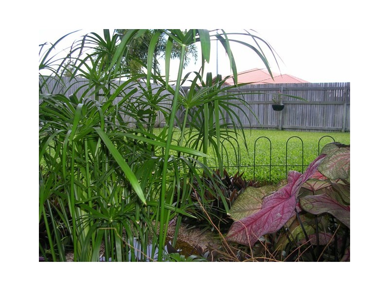 92  River Boulevard, Idalia QLD 4811