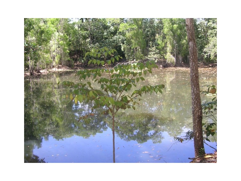 Lot 1 Off Attie Creek Road, Cardwell QLD 4849