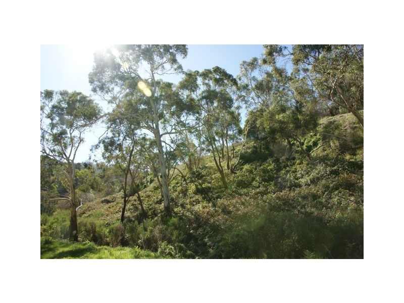 115 Old Norton Summit Road, Norton Summit SA 5136