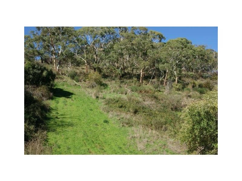 115 Old Norton Summit Road, Norton Summit SA 5136