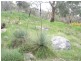 Lot 10 Summit Road, Mount Barker SA 5251