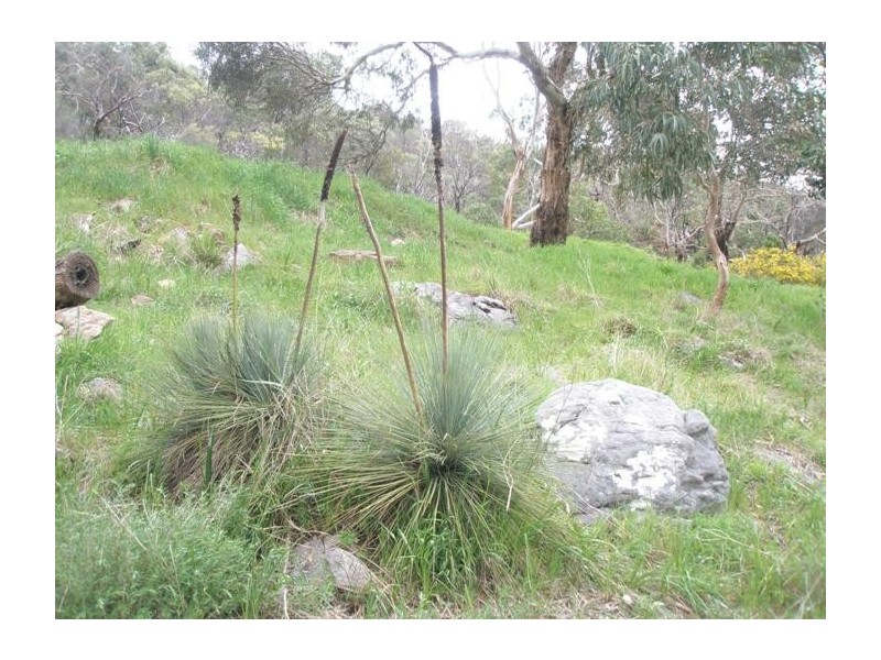 Lot 10 Summit Road, Mount Barker SA 5251