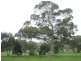 Lot 10 Summit Road, Mount Barker SA 5251