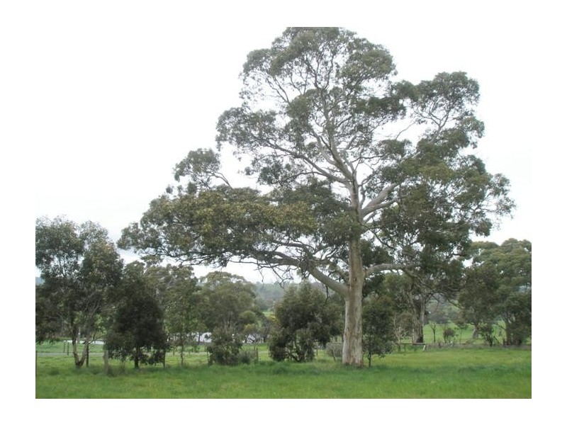 Lot 10 Summit Road, Mount Barker SA 5251