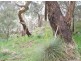 Lot 10 Summit Road, Mount Barker SA 5251