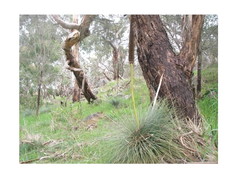 Lot 10 Summit Road, Mount Barker SA 5251