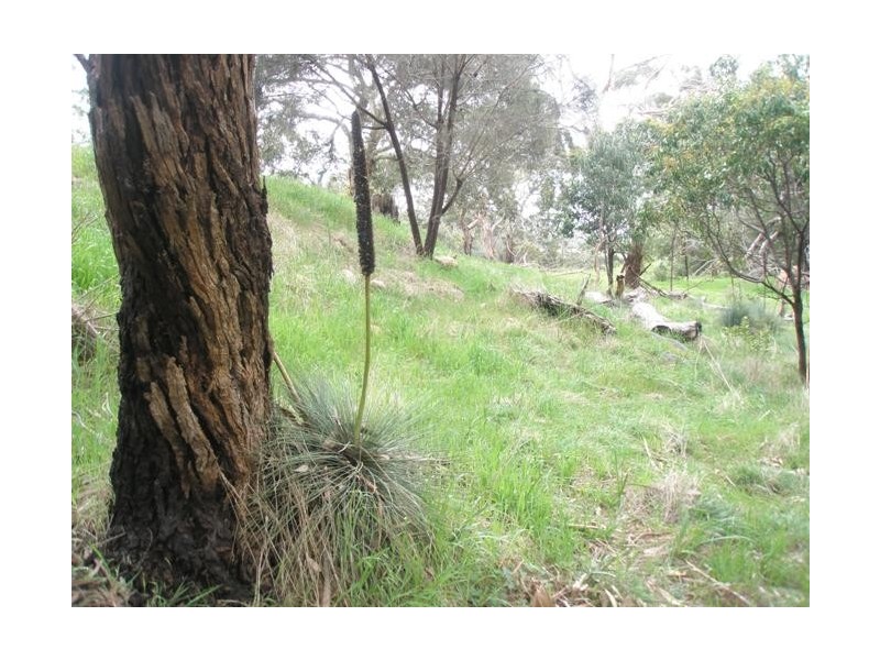 Lot 10 Summit Road, Mount Barker SA 5251