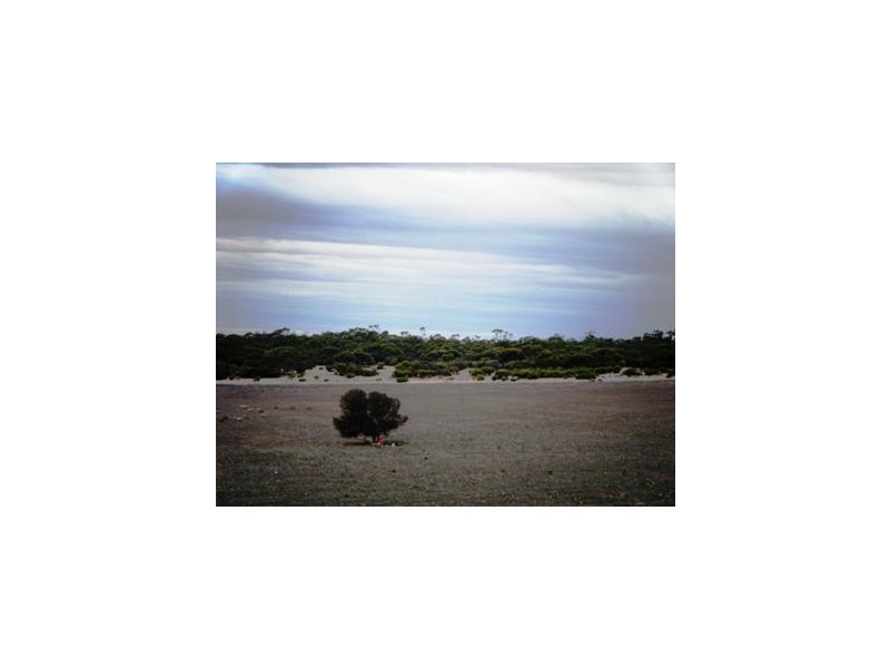 Lot 60 Bowhill Road, Bowhill SA 5238