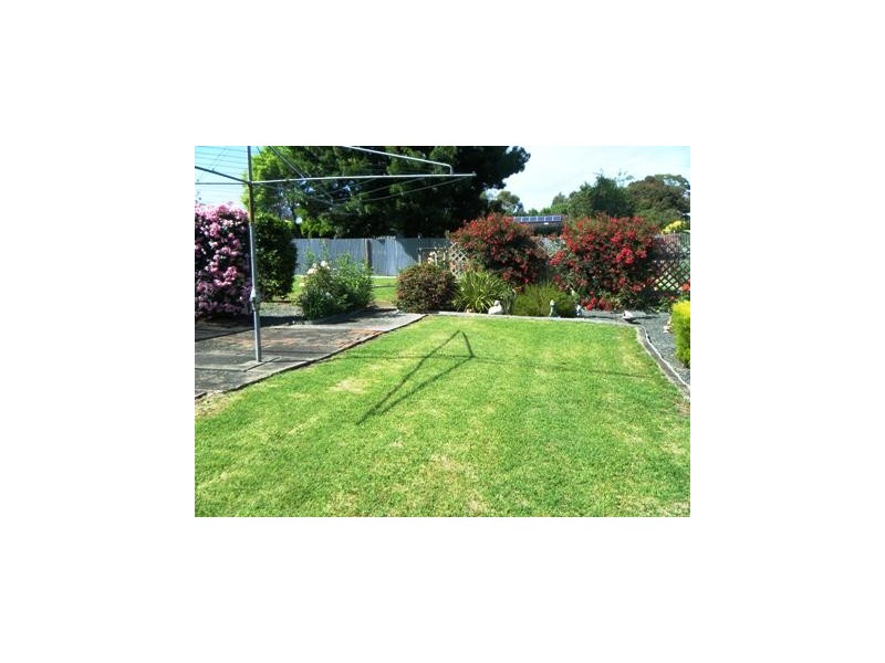 12 WELLINGTON ROAD, Mount Barker SA 5251