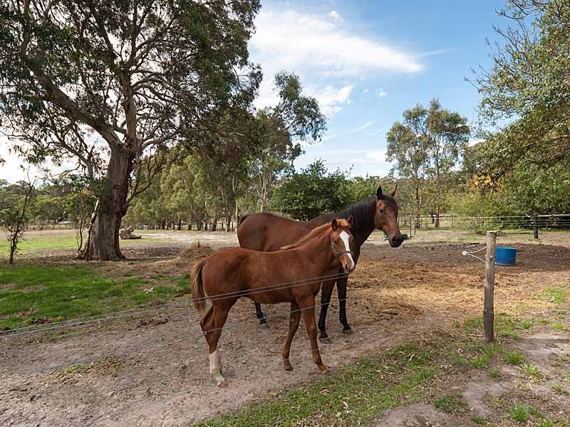 63 Muellers Close (Off Lacey Road), Bugle Ranges SA 5251
