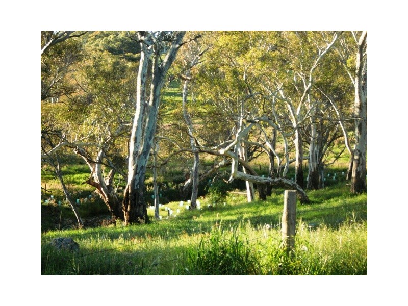Lot 208 Magarey Road, Mount Torrens SA 5244