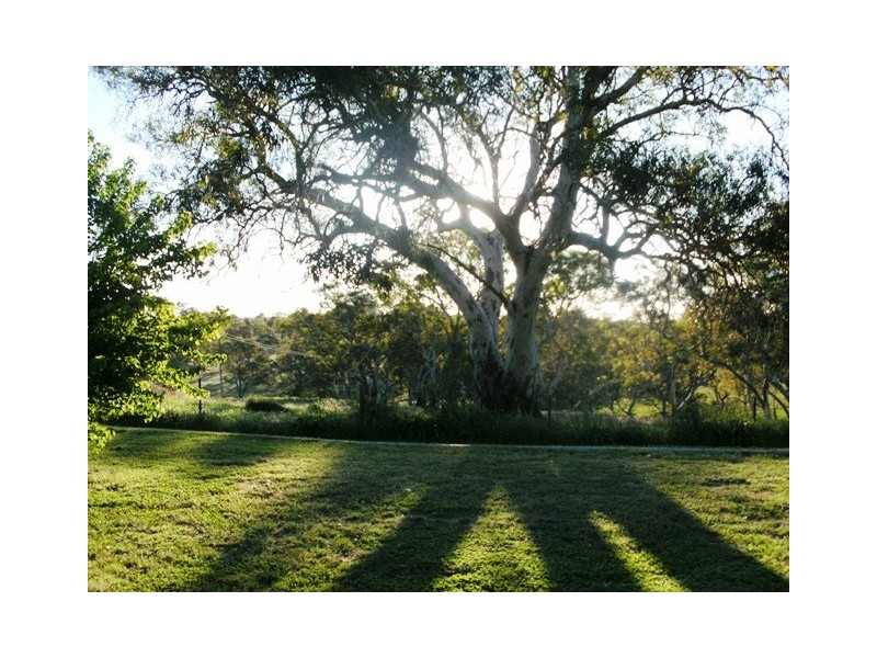 Lot 208 Magarey Road, Mount Torrens SA 5244