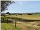 688 Dashwood Gully Rd, Meadows SA 5201