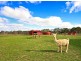 688 Dashwood Gully Rd, Meadows SA 5201