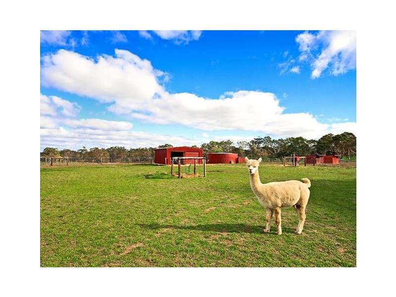 688 Dashwood Gully Rd, Meadows SA 5201