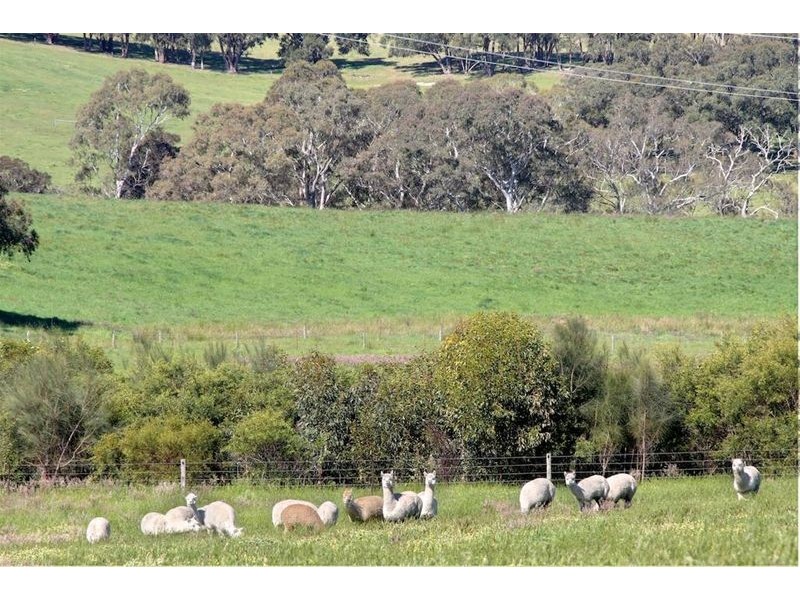 223 Todd Road, Mylor SA 5153