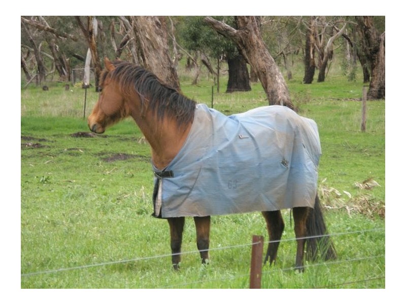 351 Summit Road, Mount Barker SA 5251