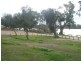 14 Sunnyside Road, Sunnyside SA 5253