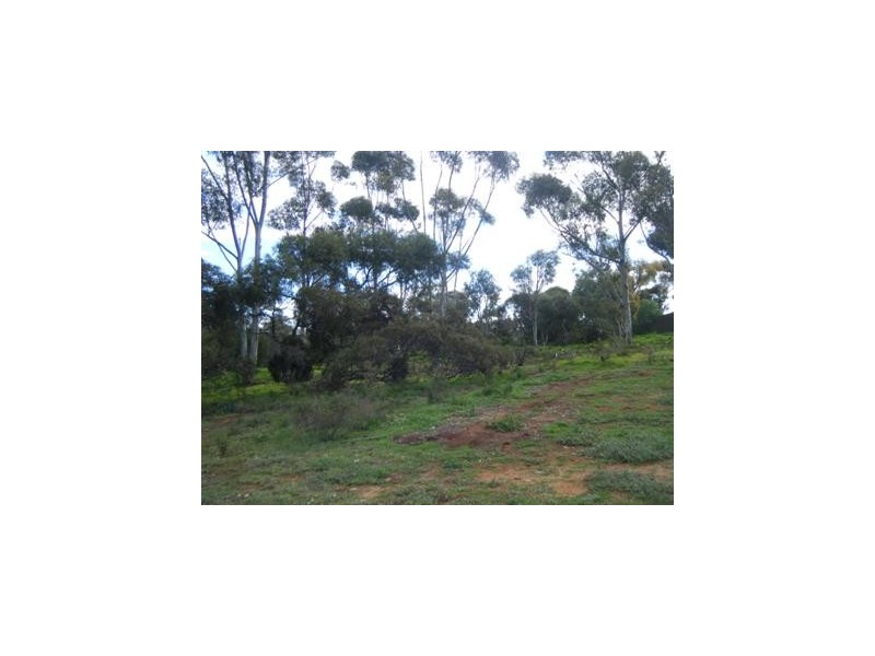 122 Rocky Gully Road, Murray Bridge SA 5253