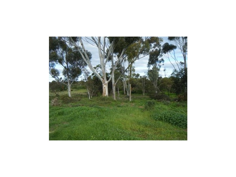 122 Rocky Gully Road, Murray Bridge SA 5253